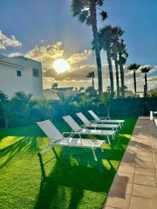 een rij witte ligstoelen op een gazon met palmbomen bij Villa Sunset Zafiro in Playa Blanca