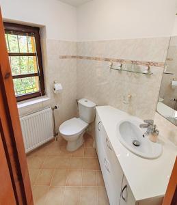 een badkamer met een toilet en een wastafel bij Pension Trojská in Praag