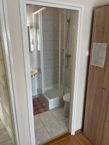 a bathroom with a shower and a toilet at Zsuzsi Vend&eacute;gh&aacute;z in Zalaegerszeg