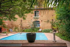 a potted plant sitting on a table next to a pool at Chambre de charme dans une propriété du 18ème in Roquettes