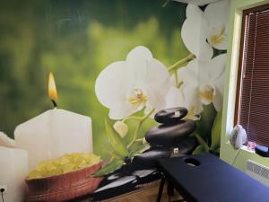 Το σπα ή/και άλλες εγκαταστάσεις ευεξίας στο Panorama Bansko