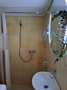 a bathroom with a shower with a sink and a mirror at Gallery apartment in Podgorica