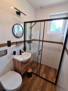 a bathroom with a toilet and a sink and a mirror at Noclegi przy Wiadukcie - Apartamenty in Lewin Kłodzki