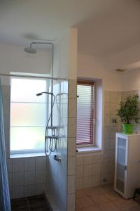 eine Dusche mit Glastür im Bad in der Unterkunft Zamárdi Trafóház in Zamárdi