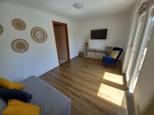 een woonkamer met een bank en een televisie bij Green Garden Apartments in Siófok