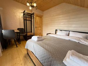 a bedroom with a bed and a desk with a chair at Kolos house in Slavske