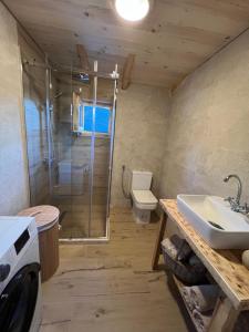 a bathroom with a shower and a sink and a toilet at Guest House Durmitor Paradise in Žabljak