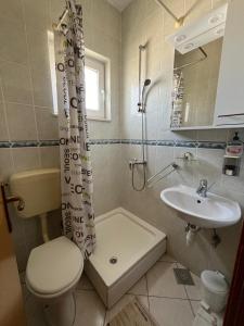 a bathroom with a toilet and a sink and a shower at Apartmani Šaldi in Pakoštane