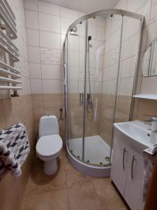 a bathroom with a shower and a toilet and a sink at Apartament Muszelka in Puck