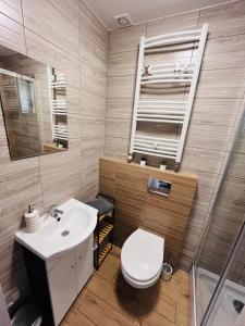 a bathroom with a sink and a toilet and a mirror at Bieszczadzkie Wyra in Ustrzyki Dolne
