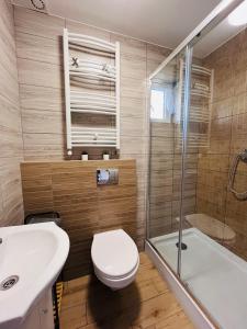 a bathroom with a toilet and a sink and a shower at Bieszczadzkie Wyra in Ustrzyki Dolne