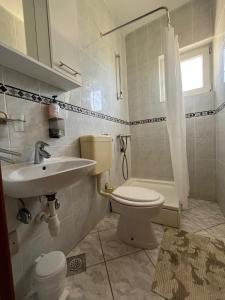 a bathroom with a toilet and a sink at Apartmani Šaldi in Pakoštane