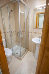 a bathroom with a shower and a toilet and a sink at Apartamento 1 Calle Tierno Galvan in Cox
