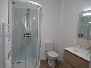 a bathroom with a shower and a toilet and a sink at Appartement village in Simorre