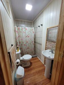 a small bathroom with a toilet and a sink at Hospedaje Alimar in Frutillar
