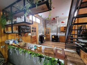 a kitchen with wooden walls and a counter with plants at Hospedaje Alimar in Frutillar