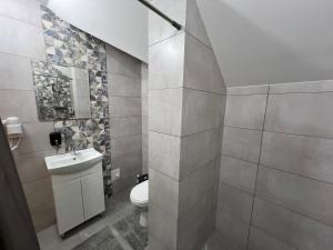 a bathroom with a toilet and a sink at Kolos house in Slavske