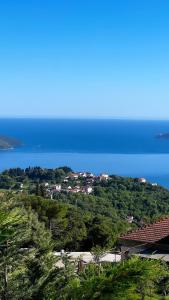 una ciudad en una colina con el océano en el fondo en Villa Tre Tri en Herceg-Novi
