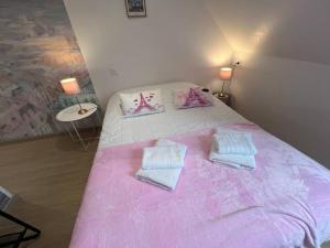 - une chambre avec un lit rose et 2 oreillers dans l'établissement Esprit France, joli studio au coeur de Mulhouse, à Mulhouse