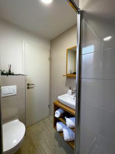 a bathroom with a toilet and a sink at Mobile Home SkyLine - beautiful sea view - on the palm of the beach in Drage