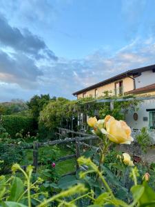 a garden with yellow roses in front of a building at La Locanda Del Tevere in Fiano Romano