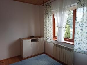 a small room with a window and a blue rug at Domek na skraju lasu in Płaska