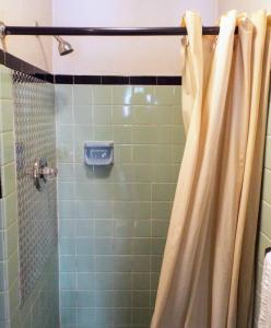 y baño con ducha y cortina de ducha. en Davis Motel, en North Lima