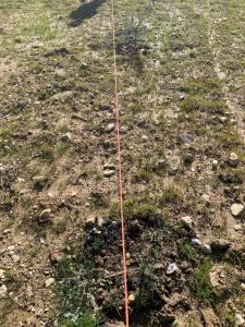 a string is tied to the ground in the grass at Mozaik Pansiyon in Kaş