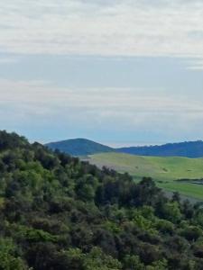 una vista desde la cima de una colina con árboles en La casina delle bimbe, en Santa Luce