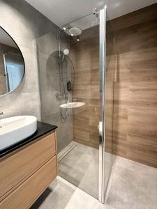 W łazience znajduje się prysznic i umywalka. w obiekcie Aparthotel Weissa 7 w Krakowie