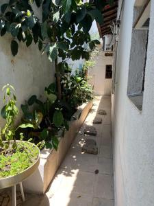 Fotografie z fotogalerie ubytování Suíte Garden v destinaci Praia Grande