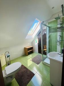 a bathroom with a shower and a toilet and a sink at Dom na Mazurach in Pilchy +32 photos