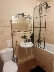 a bathroom with a toilet and a sink and a shower at Apartament Perła in Gdańsk