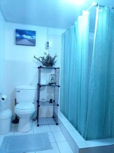 y baño con cortina de ducha y aseo. en Linda habitación cerca al mar, en Lima