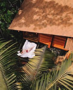 a person laying on top of a palm tree at Cabana equipada em meio à natureza em Pomerode in Pomerode