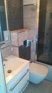 een badkamer met een toilet, een wastafel en een douche bij Mieszkanie w Tucholi in Tuchola