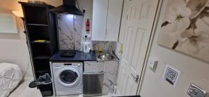 uma pequena cozinha com uma máquina de lavar roupa e um lavatório em Oleon Apartments - Colchester em Colchester