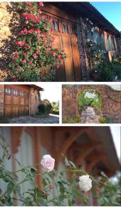 eine Collage mit drei Bildern eines Hauses mit Rosen in der Unterkunft Maison Lily en Provence - Gonfaron - 4ch in Gonfaron