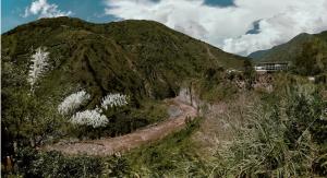 une route sinueuse au bord de la montagne avec des arbres dans l'établissement Backpackers-balcones-river-lodge, à Baños