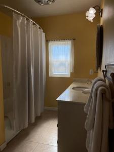 ein Badezimmer mit Duschvorhang und Waschbecken in der Unterkunft House on Organic Farm in Escondido + 12 Fotos