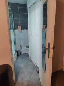 ein Badezimmer mit einem WC und einer Glastür in der Unterkunft Studio cosy, *Fibre *smart TV in Villeurbanne