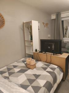 Schlafzimmer mit einem Bett, einem TV und einem Schreibtisch in der Unterkunft Studio cosy, *Fibre *smart TV in Villeurbanne