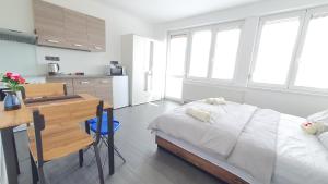 Kuchyň nebo kuchyňský kout v ubytování LilLy HOME 36