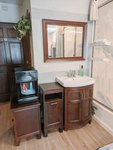 a bathroom with a sink and a fish tank at Uptown area, Cozy king Suite, quiet and private, free parking, walk to restaurants in Charlotte