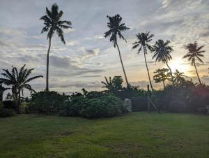 a group of palm trees in a yard with the sunset at AerowView Home Retreat in Matei