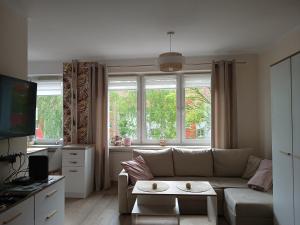 sala de estar con sofá y ventana en Apartament w Srebrnym Mieście en Tarnowskie Góry