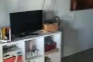 un televisor sentado en la parte superior de un estante en Paraíso do Brutus - casa de temporada, en Beberibe