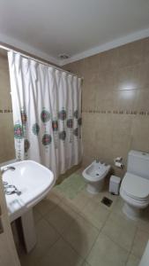 a bathroom with a sink and a toilet and a shower curtain at Alojamiento en Luján de Cuyo in Ciudad Lujan de Cuyo