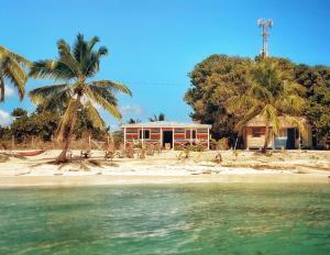 uma casa numa praia com palmeiras e água em Casa Rural El Paraíso de Saona em Mano Juan