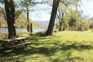 un tavolo da picnic in legno, seduto sull'erba vicino a un lago di Riverfront Property in NRG National Park near Sandstone Falls- Wi-Fi, Pet-Friendly a Hinton